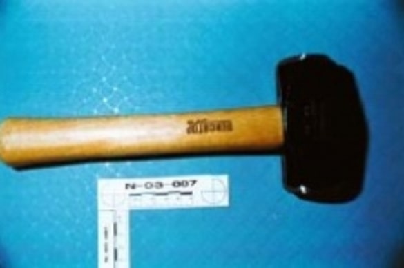 Dalton Mesarchik murder weapon