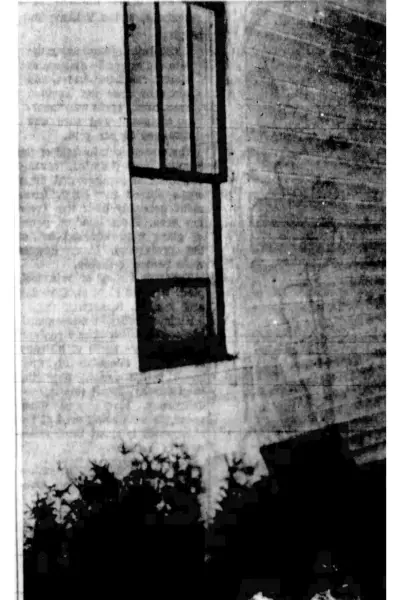 Newspaper photo of the bedroom window the kidnapper entered the home through and exited.